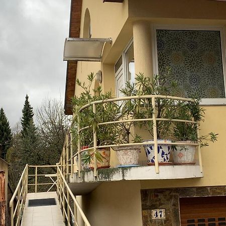 Apartmán u Doktora Besztercebánya Kültér fotó