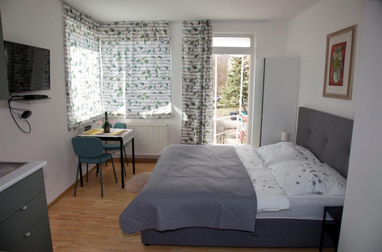 Apartmán u Doktora Besztercebánya Kültér fotó